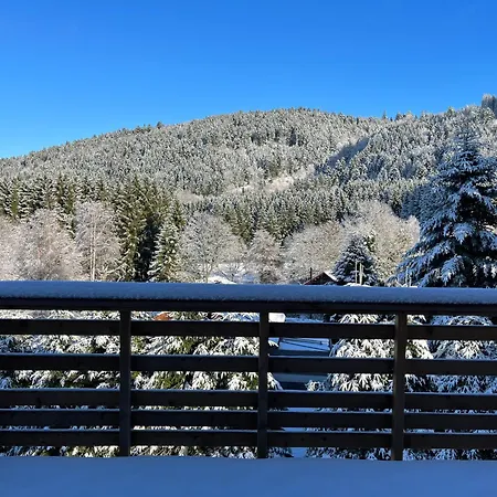 Chalet Les Primeveres 4 Etoiles *
