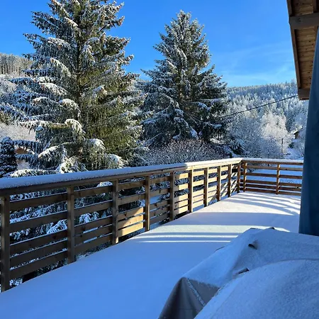 شاليه Les Primeveres 4 Etoiles